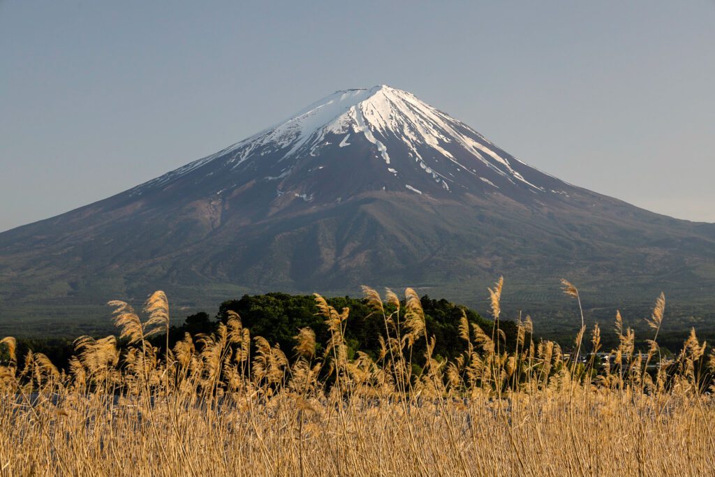 mount fuji