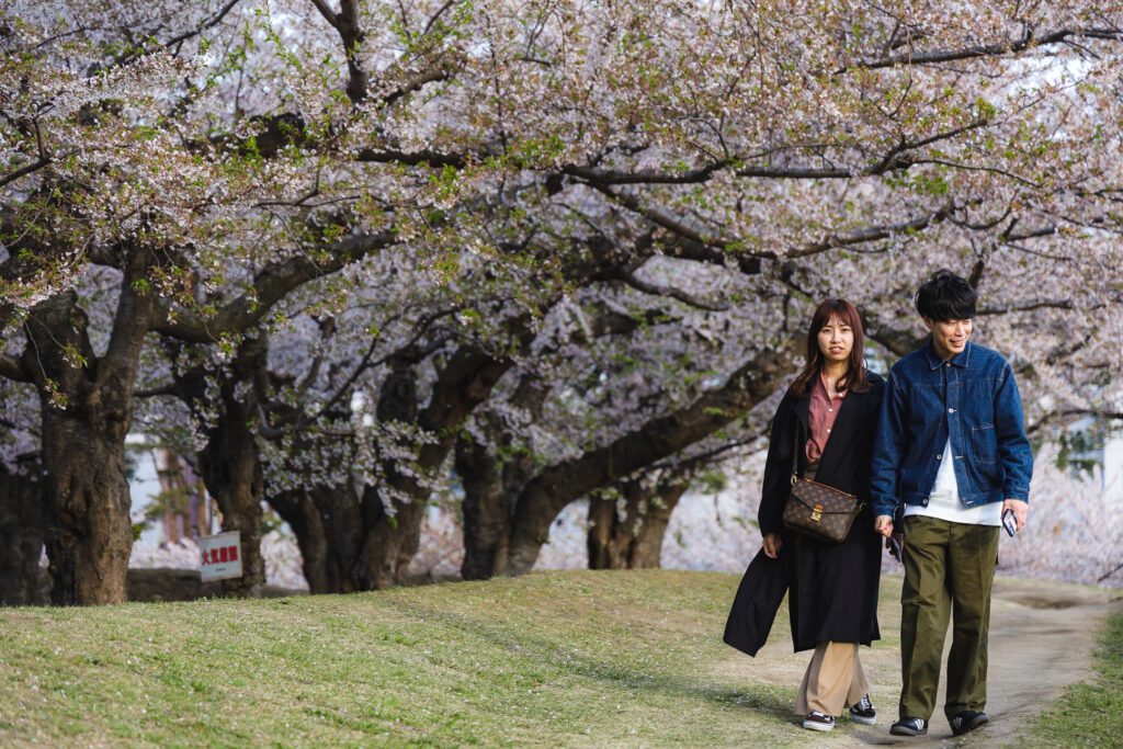 Sakury v Gorjaku Hakodate