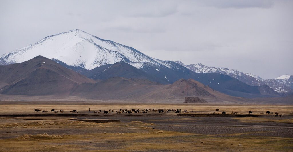 Pamír v Tádžikistánu se zvířaty