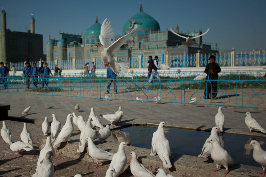 Holuby v Mazáre Šeríf v Afgánistánu, Modrá mešita
