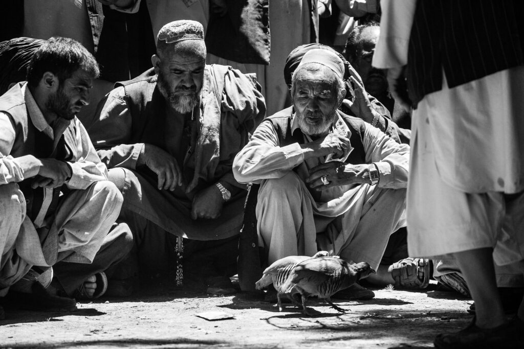 Ptačí zápas v Kábulu