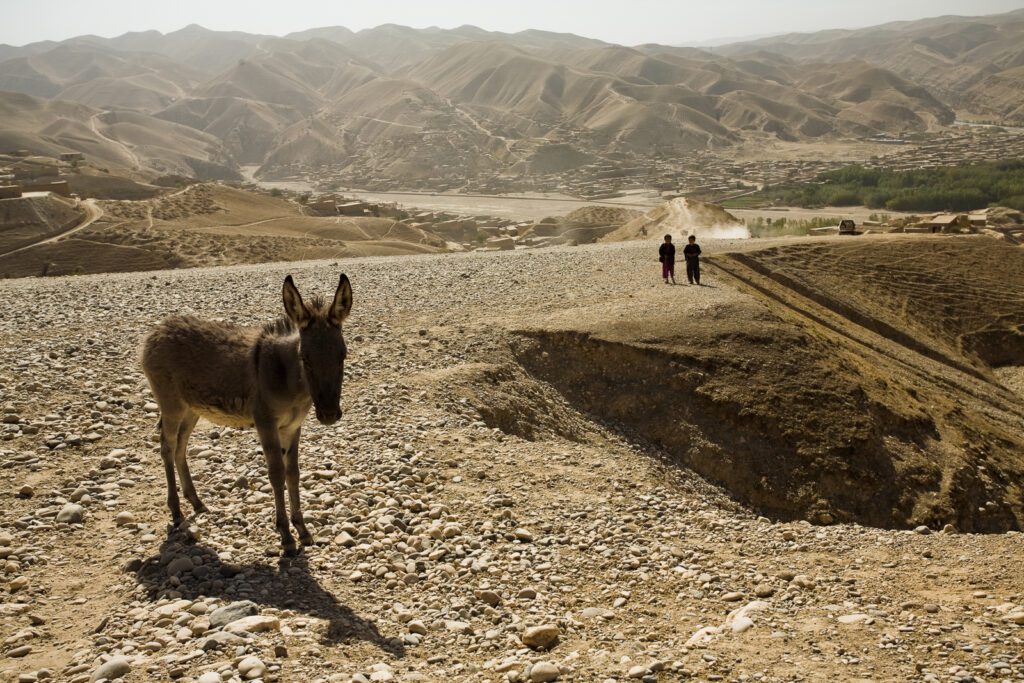 Afgánistán a osel