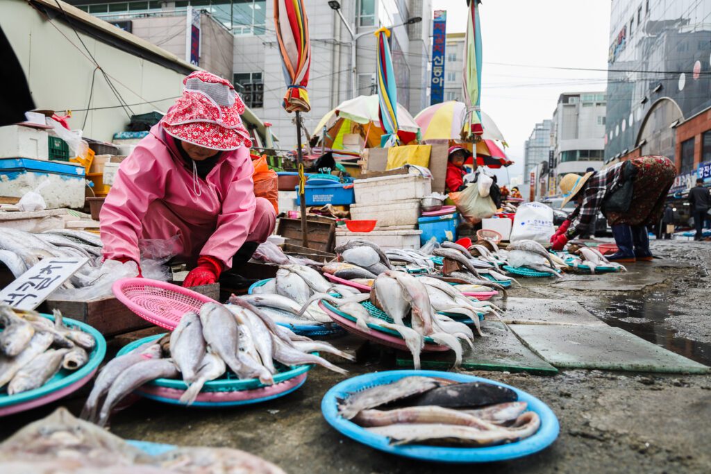 Rybí trh v Busanu