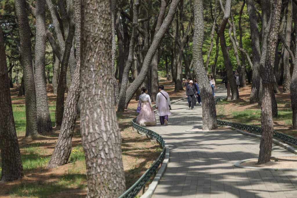 Procházka v parku v Gyeongju 