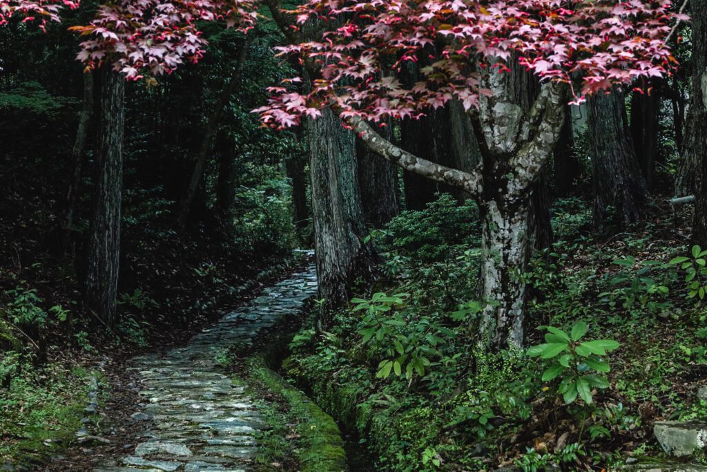 Kumano Kodo trek