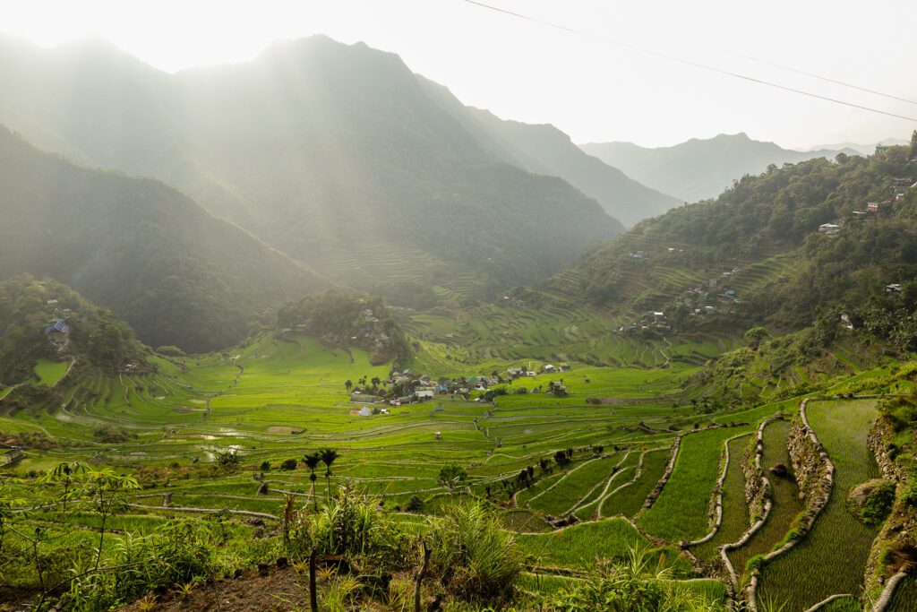 Rýžové terasy v Batadu