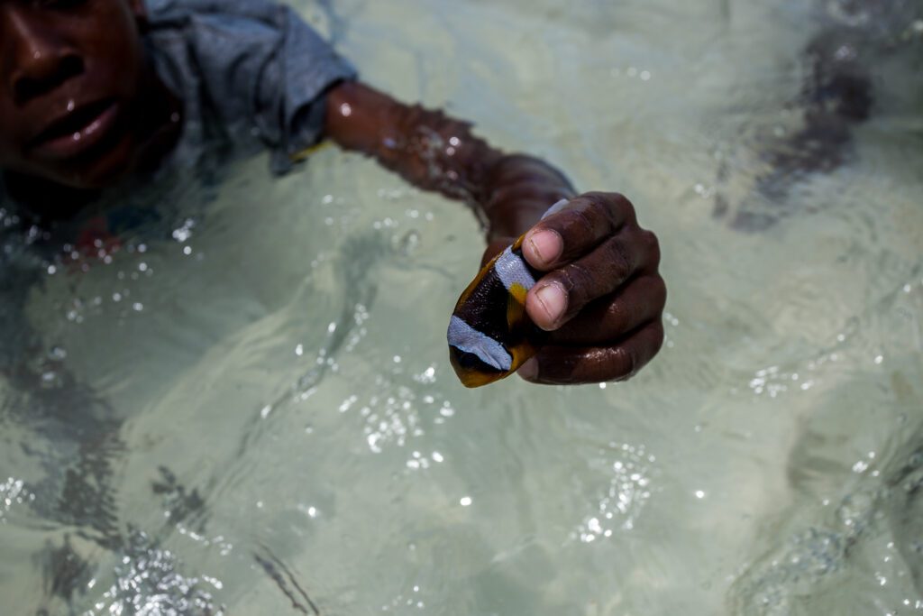 "Nemo" rybka v chlapcově ruce na Zanzibaru