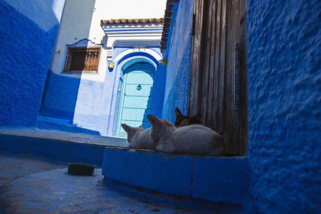 Procházka po "Modrém městě"