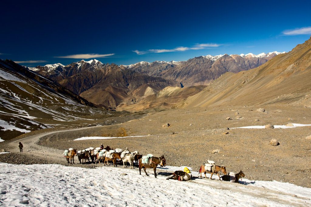 Cestou z Thorung La na Anapurna treku v Nepálu